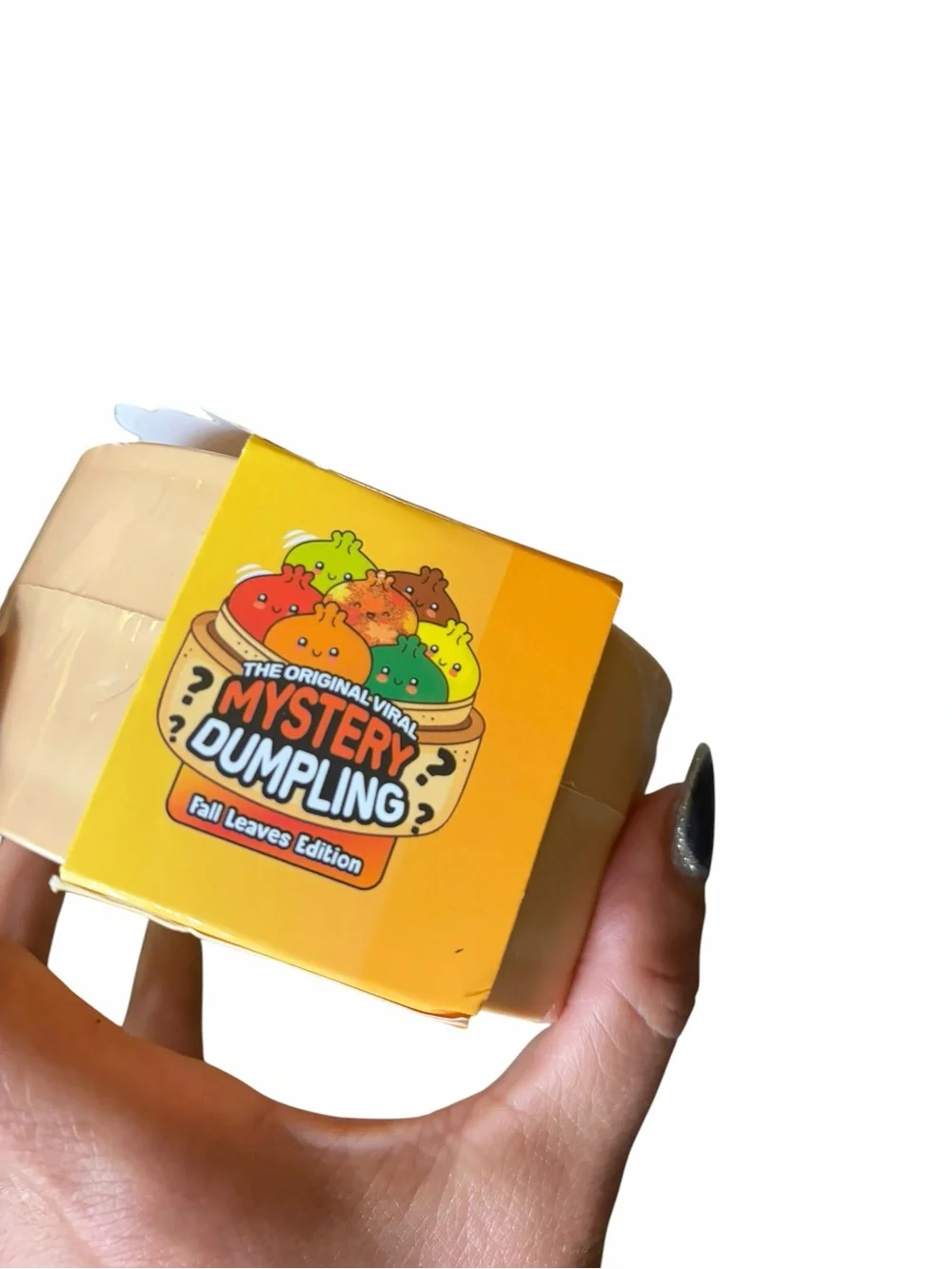 Mystery Dumpling Fall Leaves Edition - Pumpkin Spice Scented (Orange)